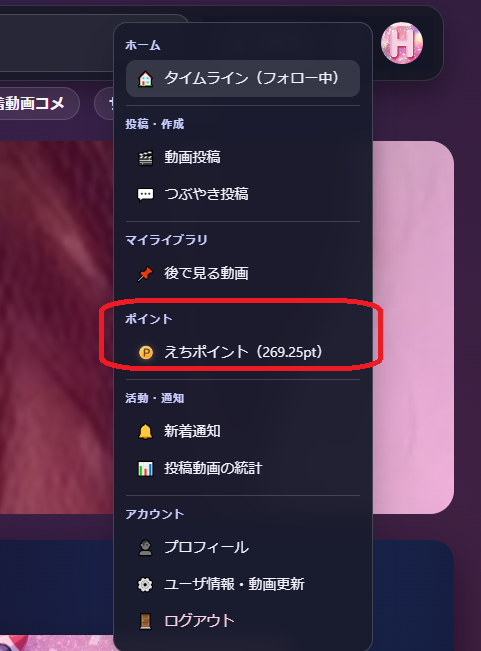 メニュー内のえちポイント表示